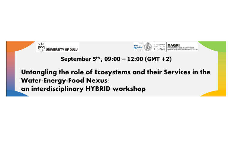 Workshop